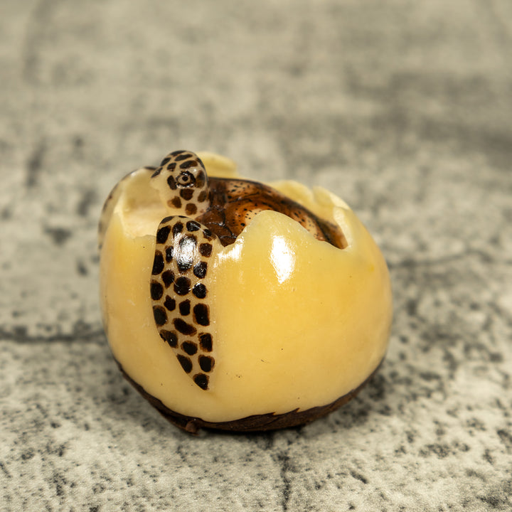 Black And Brown Sea Turtle Emerging From Egg Tagua Carving