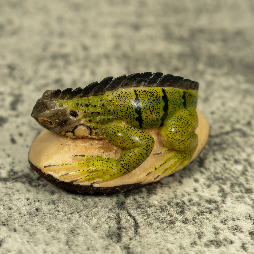 Green Iguana Lizard Tagua Carving