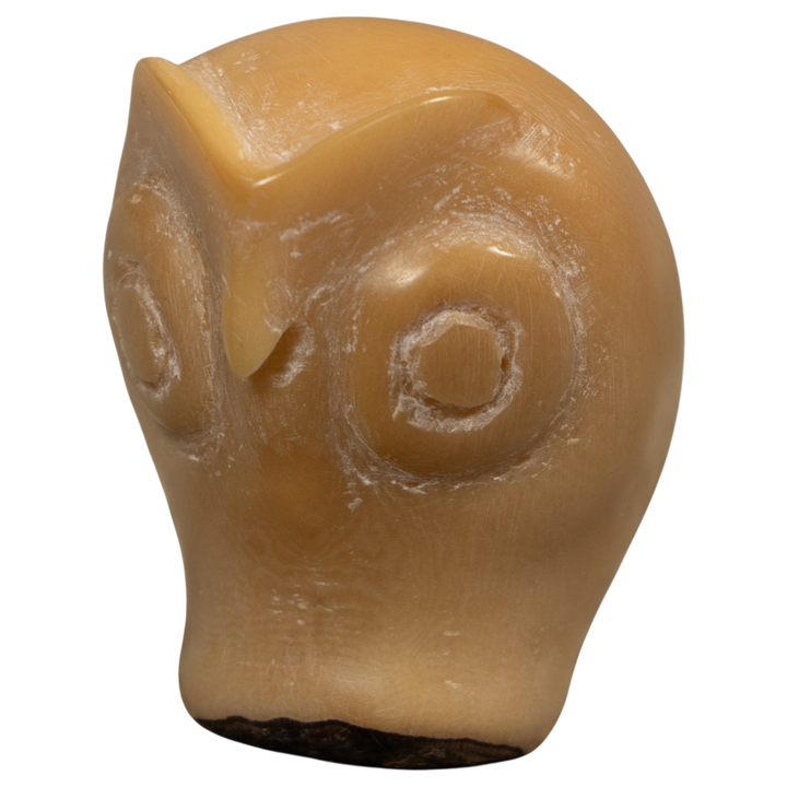 Vintage Natural White Owl Bird Tagua Carving