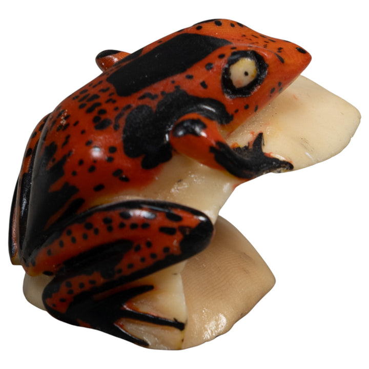Black And Red Poison Dart Frog Tagua Carving