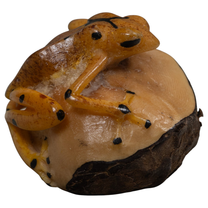 Vintage Poison Dart Frog Tagua Carving
