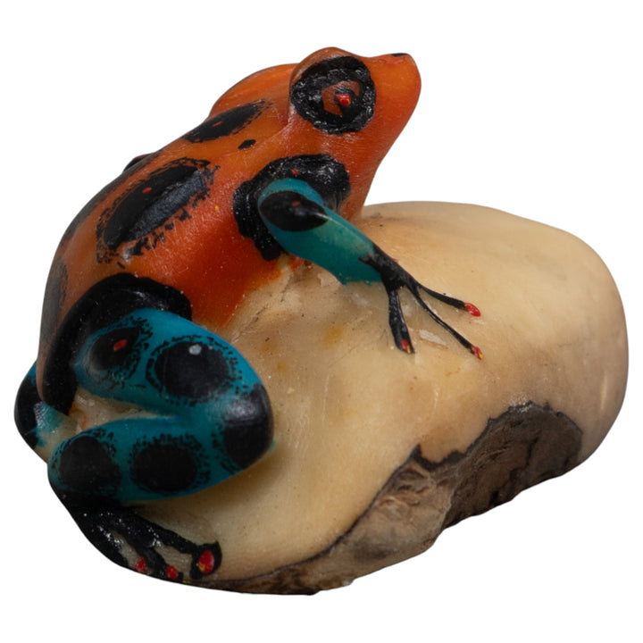 Red Blue And Black Poison Dart Frog Tagua Carving