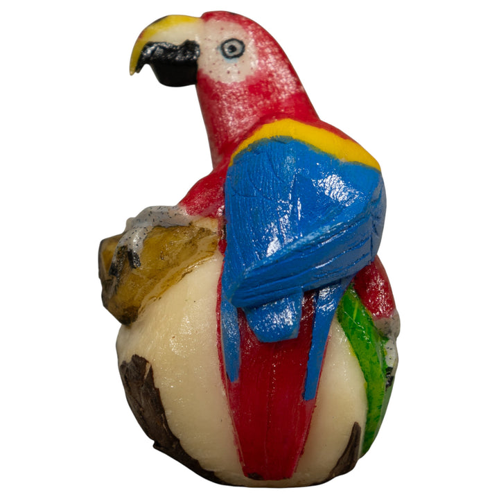Macaw Parrot Bird Tagua Carving