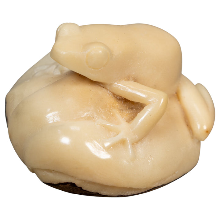Natural White Rainforest Frog Tagua Carving
