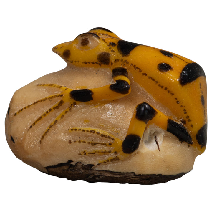 Vintage Golden Frog Tagua Carving