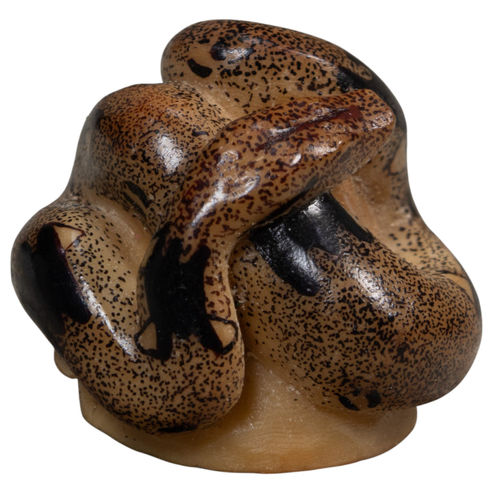Brown And Black Boa Snake Tagua Carving