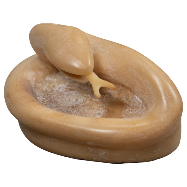 Natural White Snake Tagua Carving