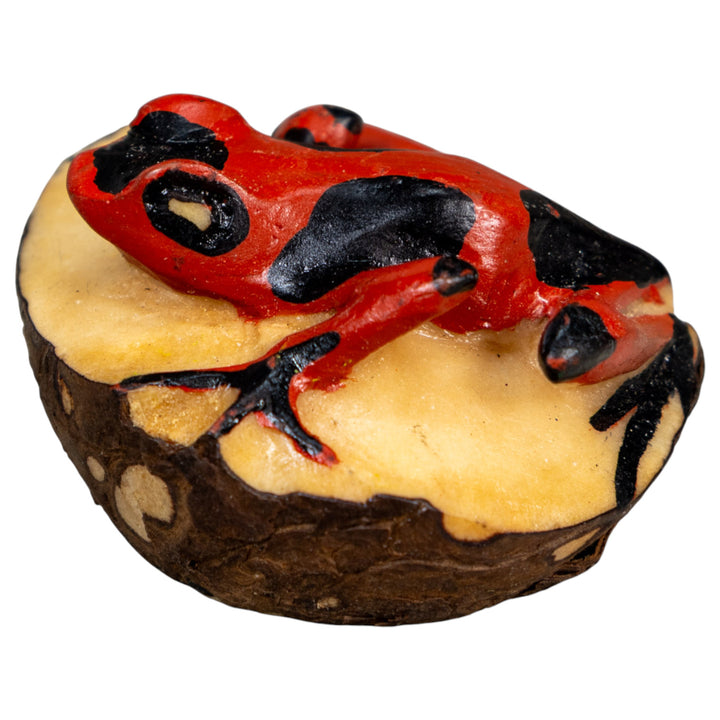 Black And Red Poison Dart Frog Tagua Carving
