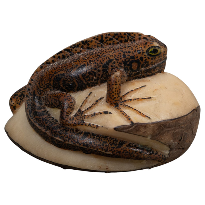 Brown And Black Gecko Lizard Tagua Carving