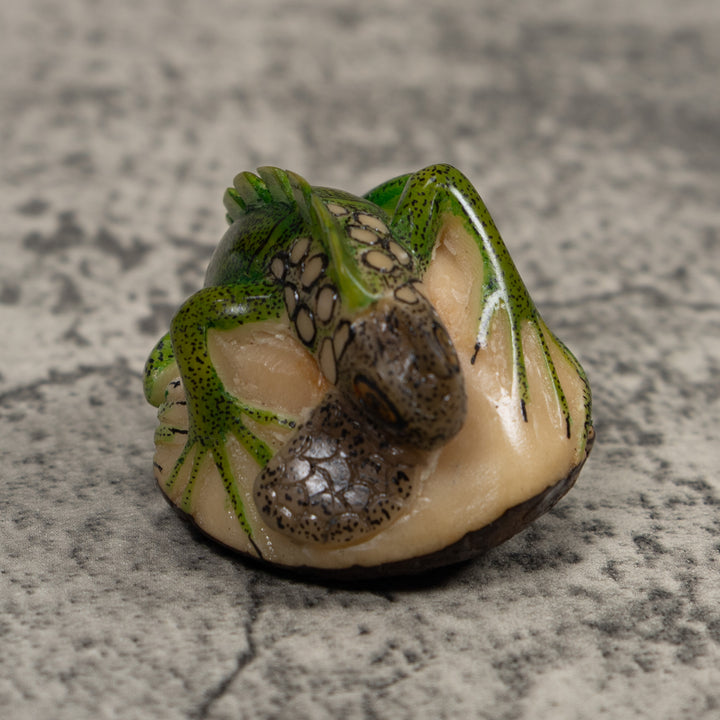 Iguana Lizard Reptile Tagua Carving