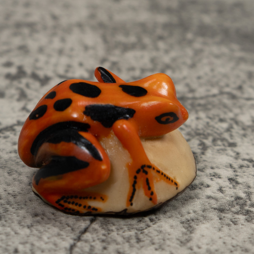 Vintage Black And Gold Frog Tagua Carving