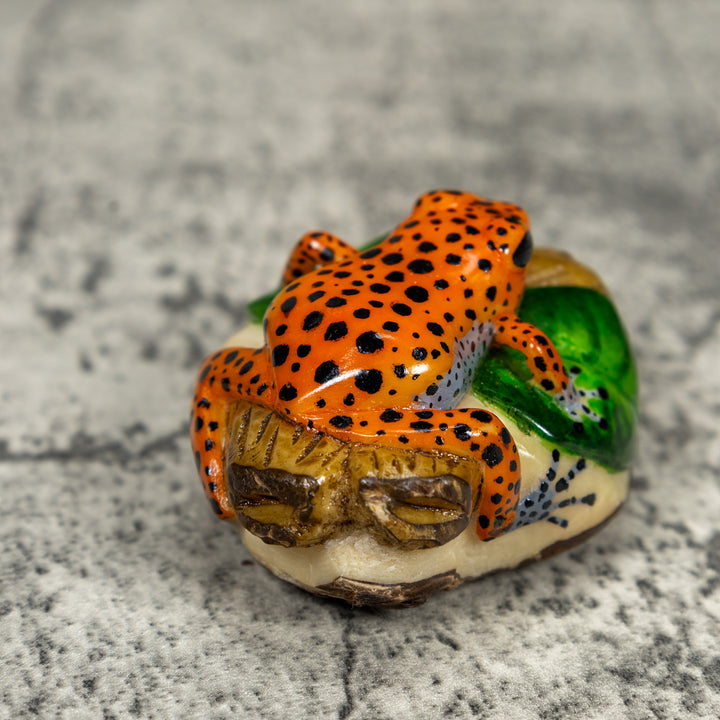 Black And Orange Poison Dart Frog Tagua Carving