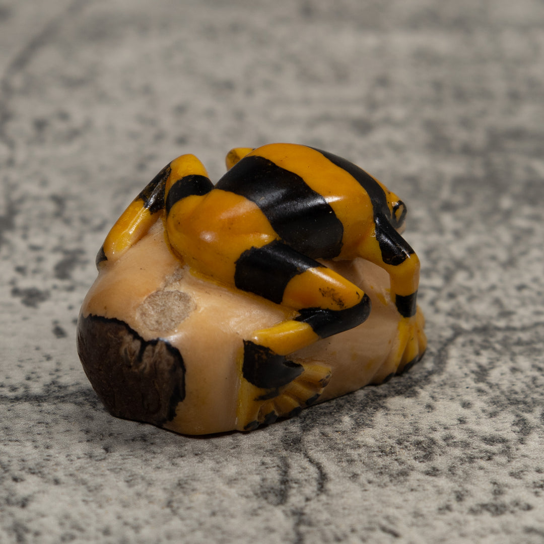 Vintage Poison Dart Frog Tagua Carving