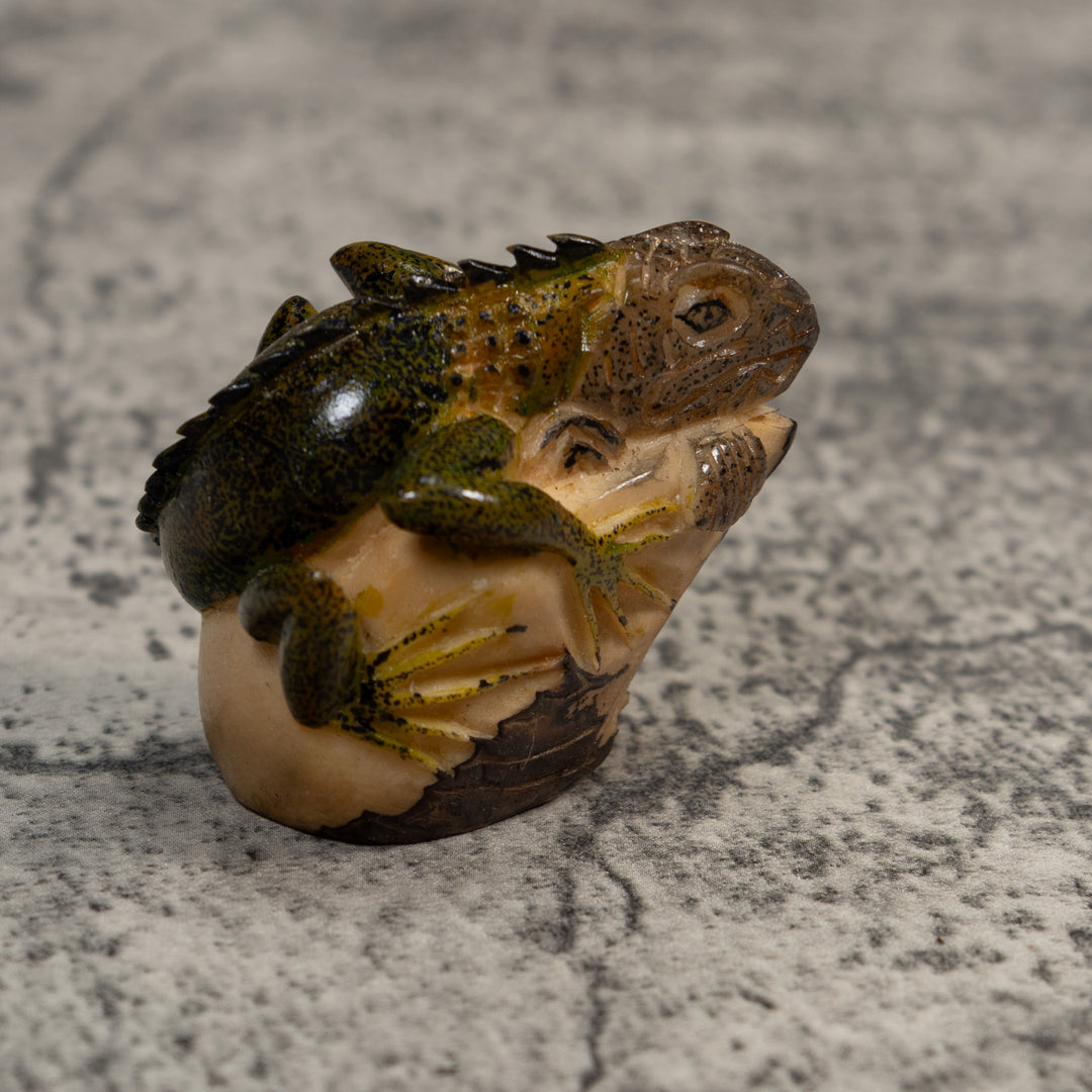 Vintage Green And Black Iguana Amphibian Lizard Tagua Carving