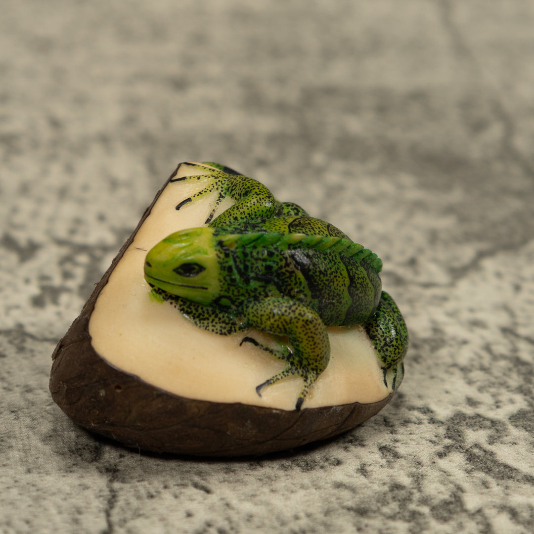 Iguana Lizard Reptile Tagua Carving