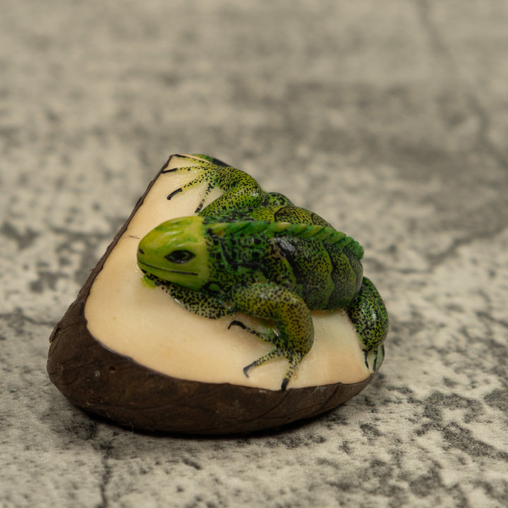 Iguana Lizard Reptile Tagua Carving