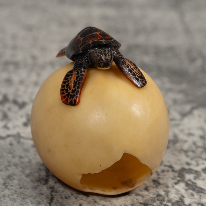 Sea Turtle Emerging From Egg Tagua Carving