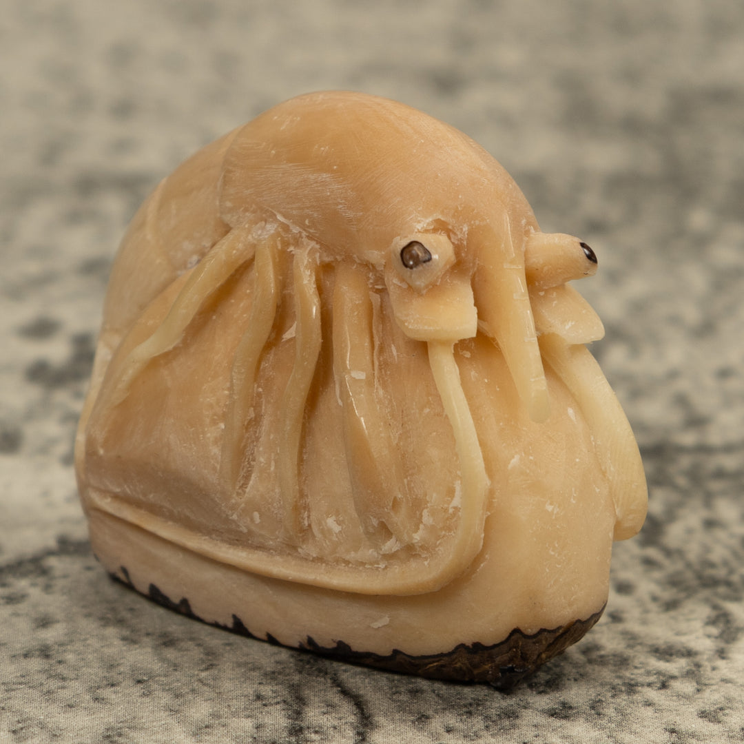 Vintage White Shrimp Tagua Carving