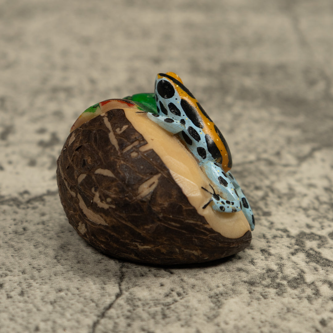 Poison Dart Frog Tagua Carving