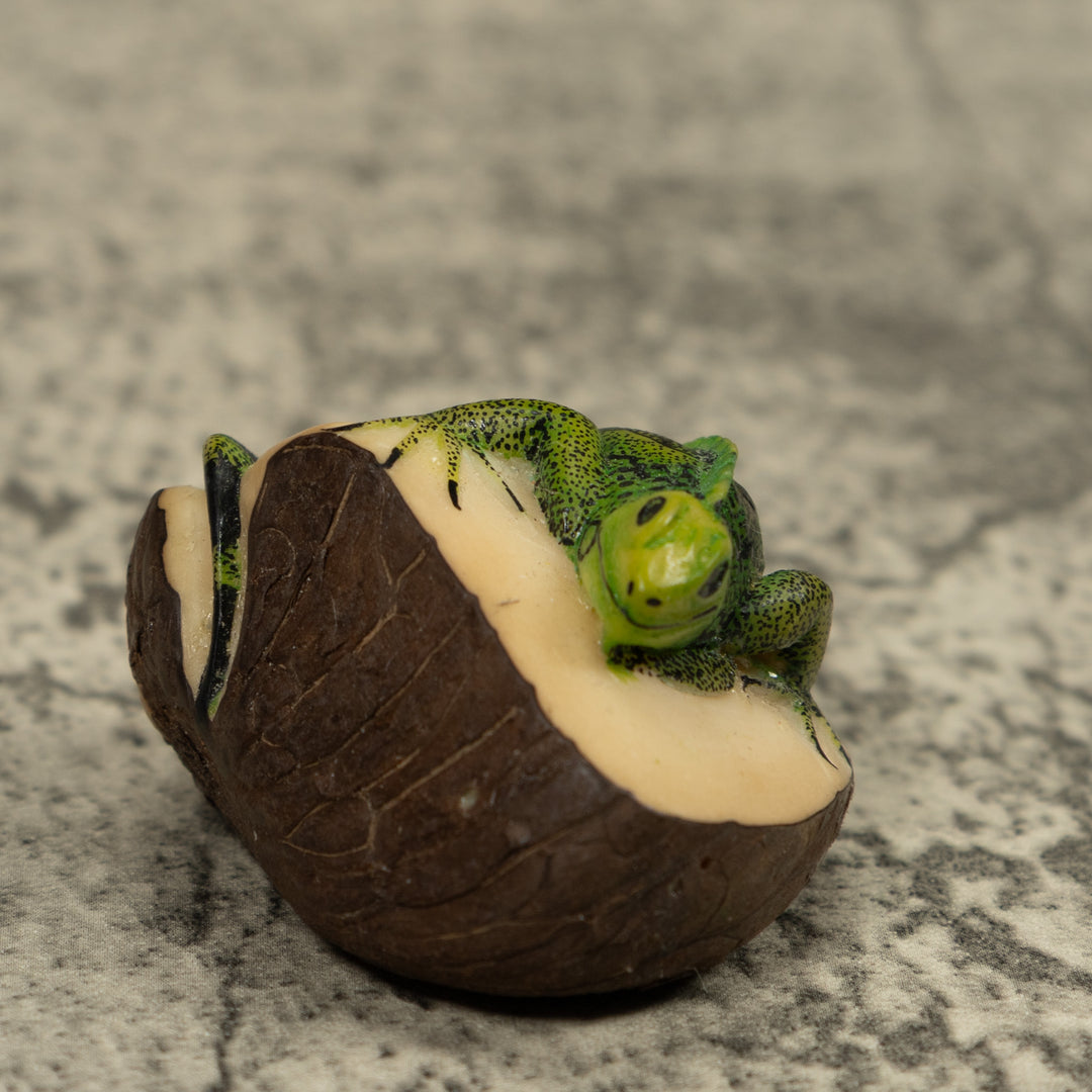 Iguana Lizard Reptile Tagua Carving