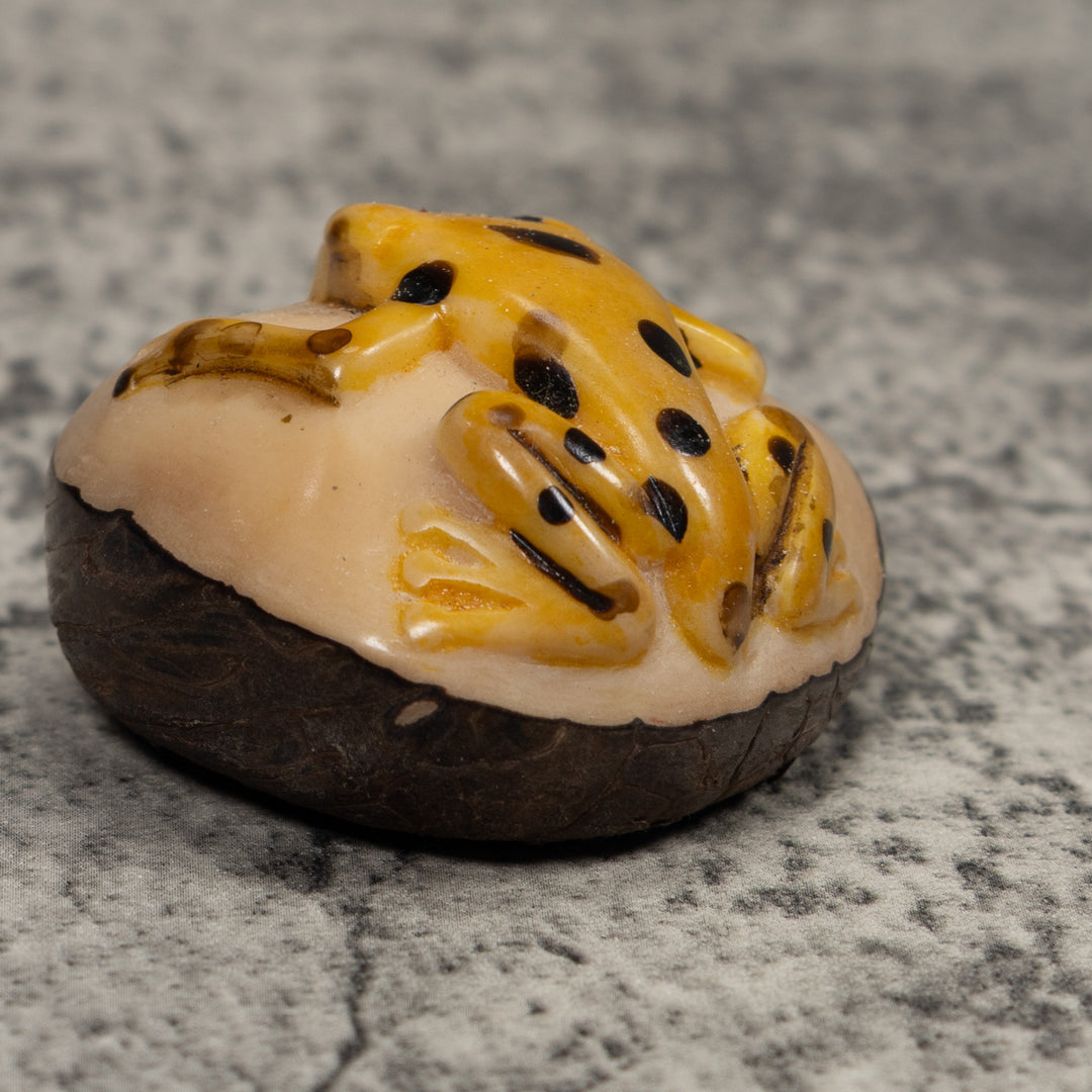 Vintage Black And Gold Frog Tagua Carving