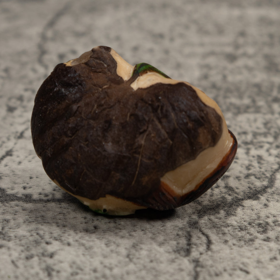 Poison Dart Frog Tagua Carving