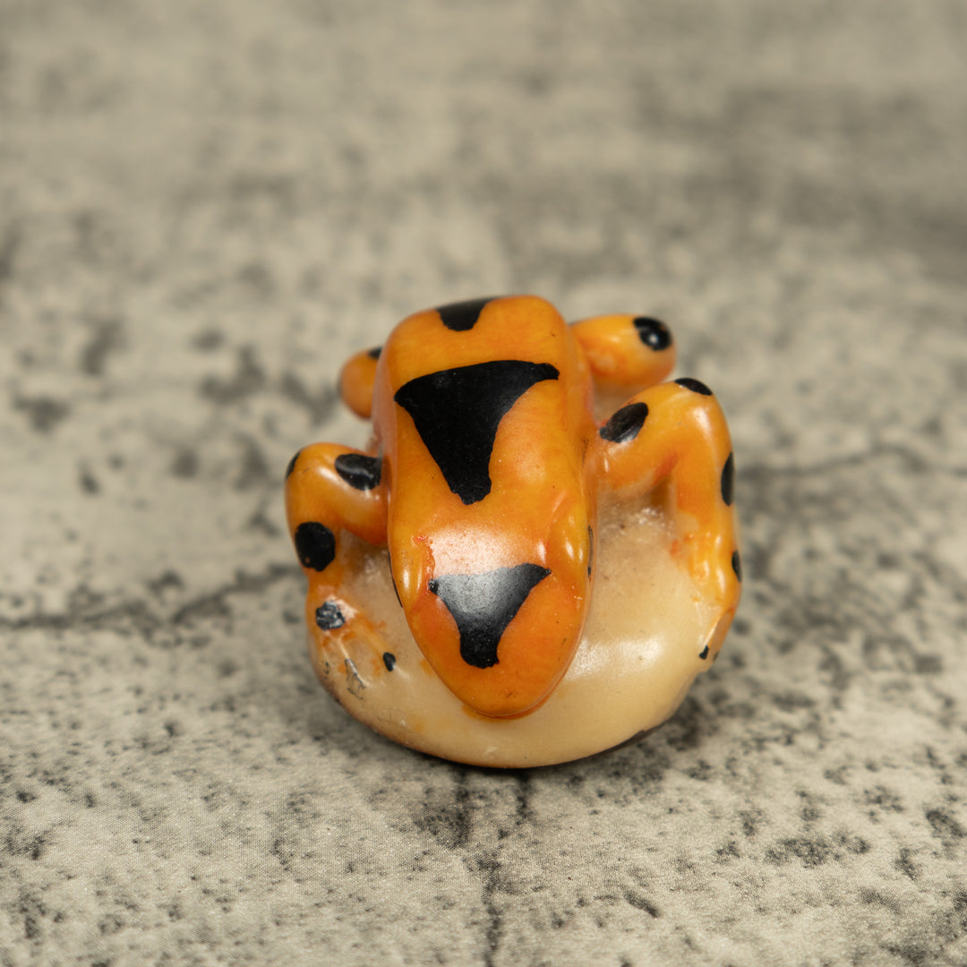 Vintage Gold And Black Poison Dart Frog Tagua Carving