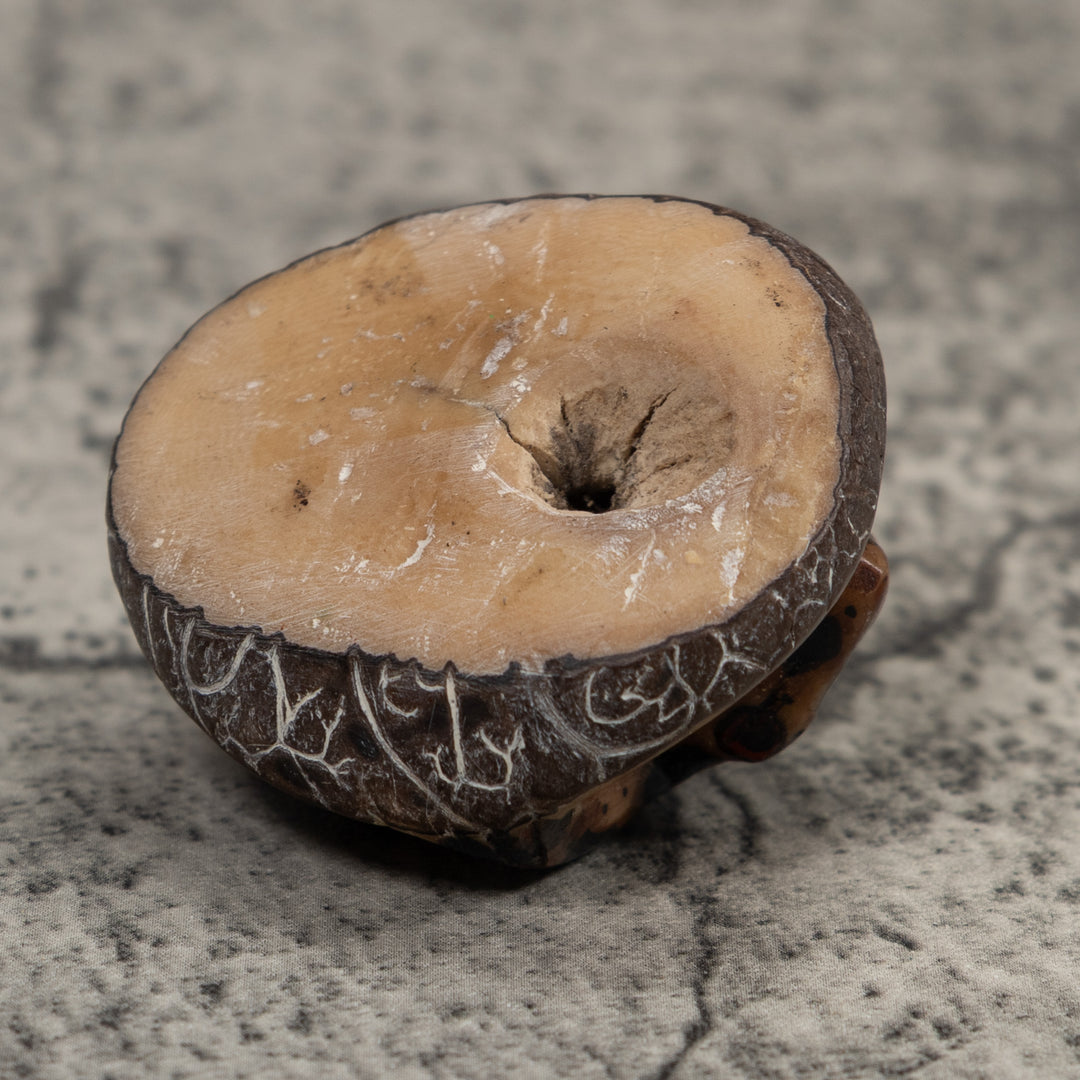 Vintage Brown And Black Frog Tagua Carving