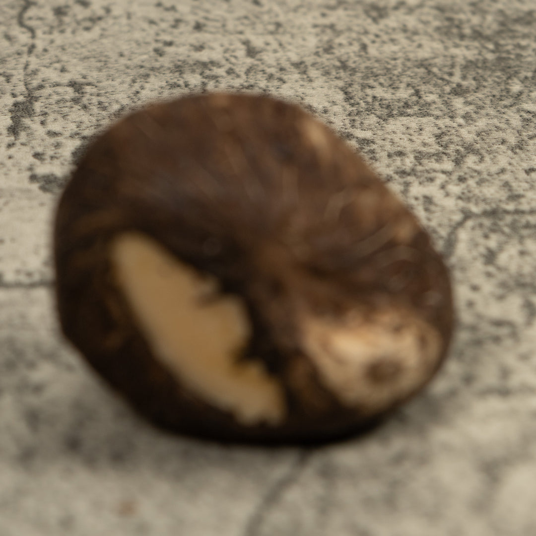 Poison Dart Frog Tagua Carving