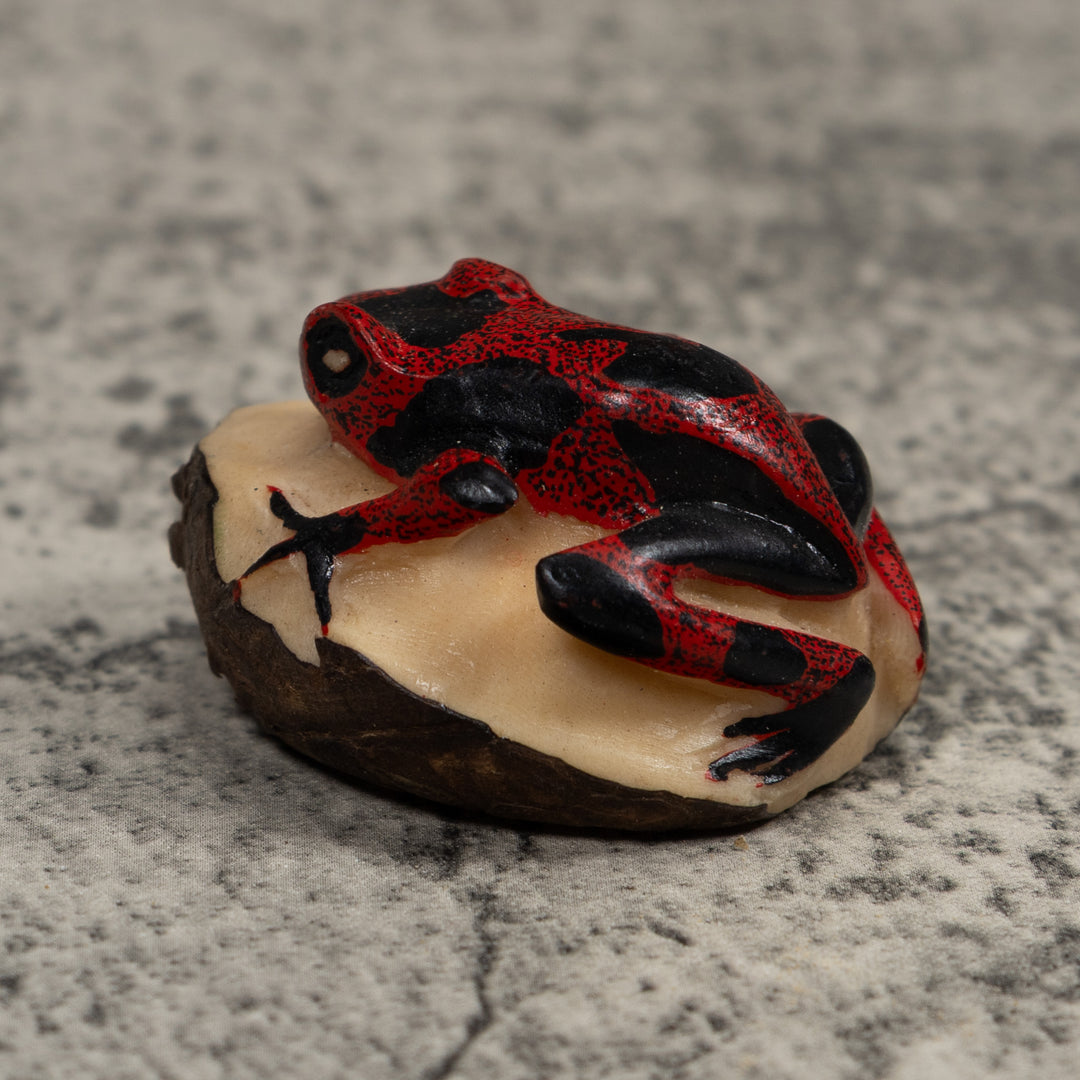 Vintage Red And Black Frog Tagua Carving