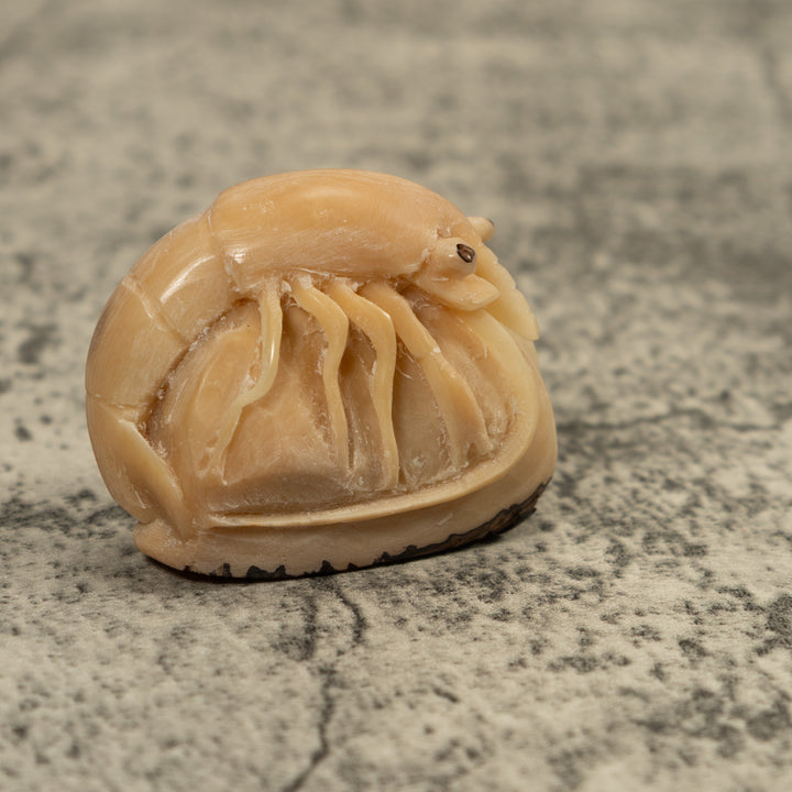 Vintage White Shrimp Tagua Carving