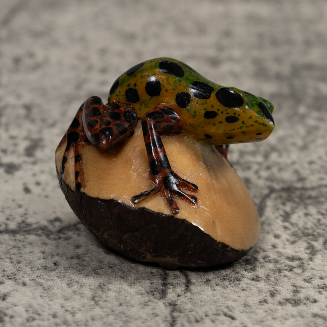 Frog Tagua Carving