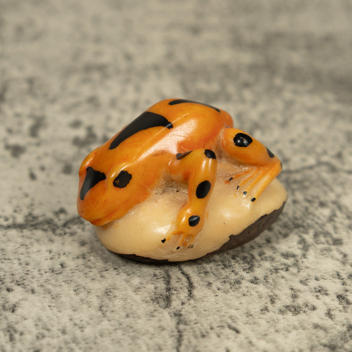 Vintage Gold And Black Poison Dart Frog Tagua Carving