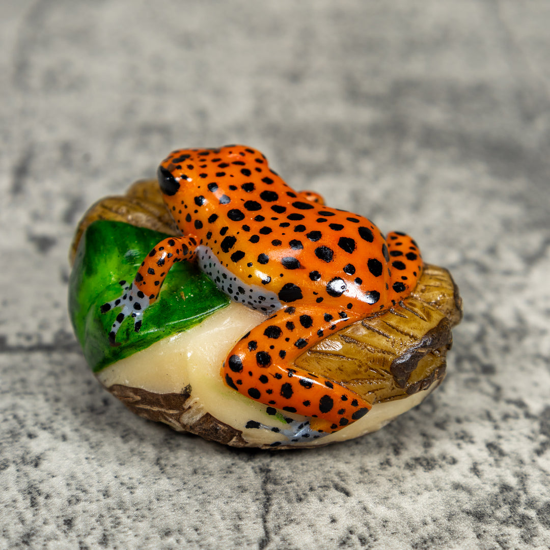 Black And Orange Poison Dart Frog Tagua Carving