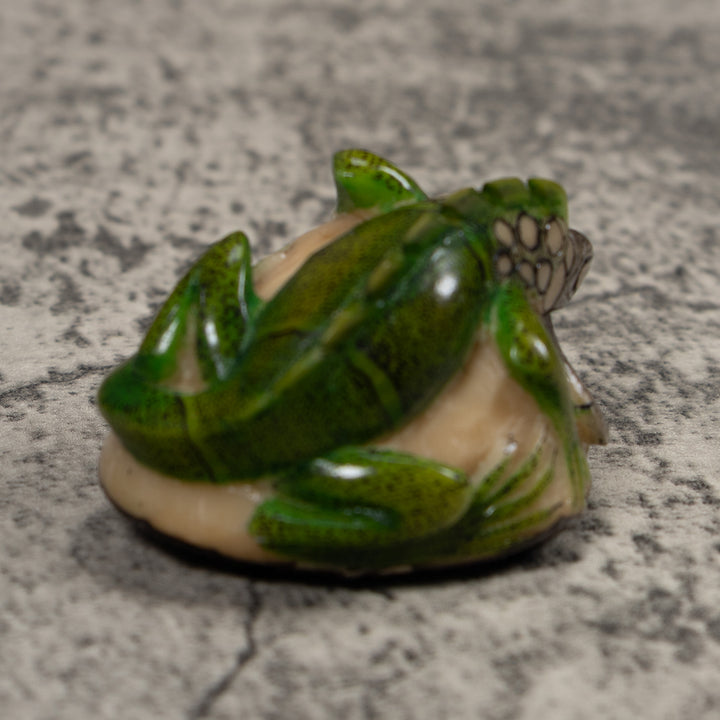 Iguana Lizard Reptile Tagua Carving