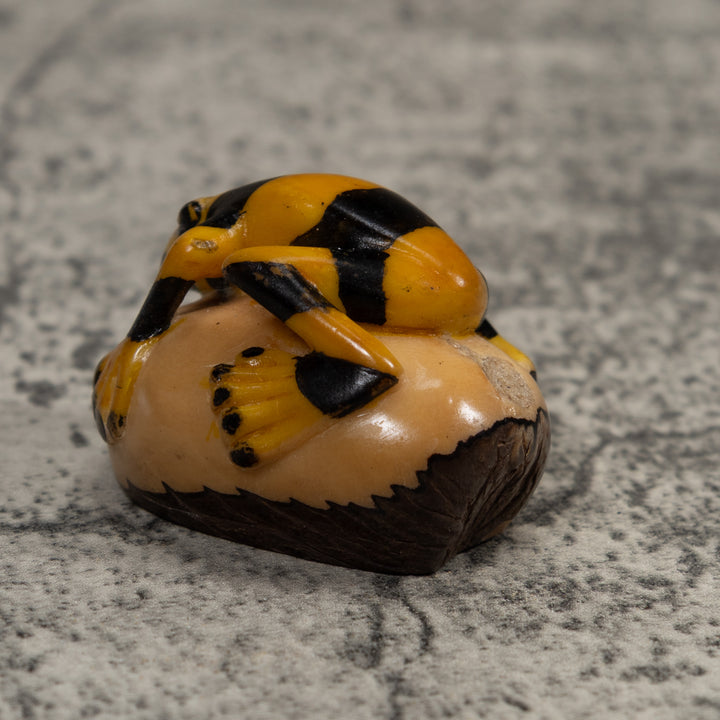 Vintage Poison Dart Frog Tagua Carving
