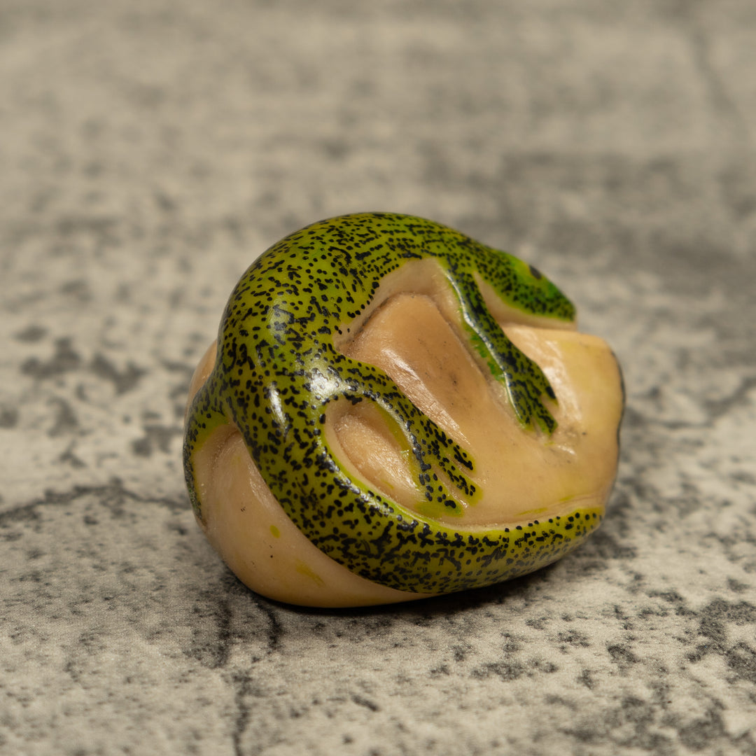 Green Gecko Lizard Tagua Carving