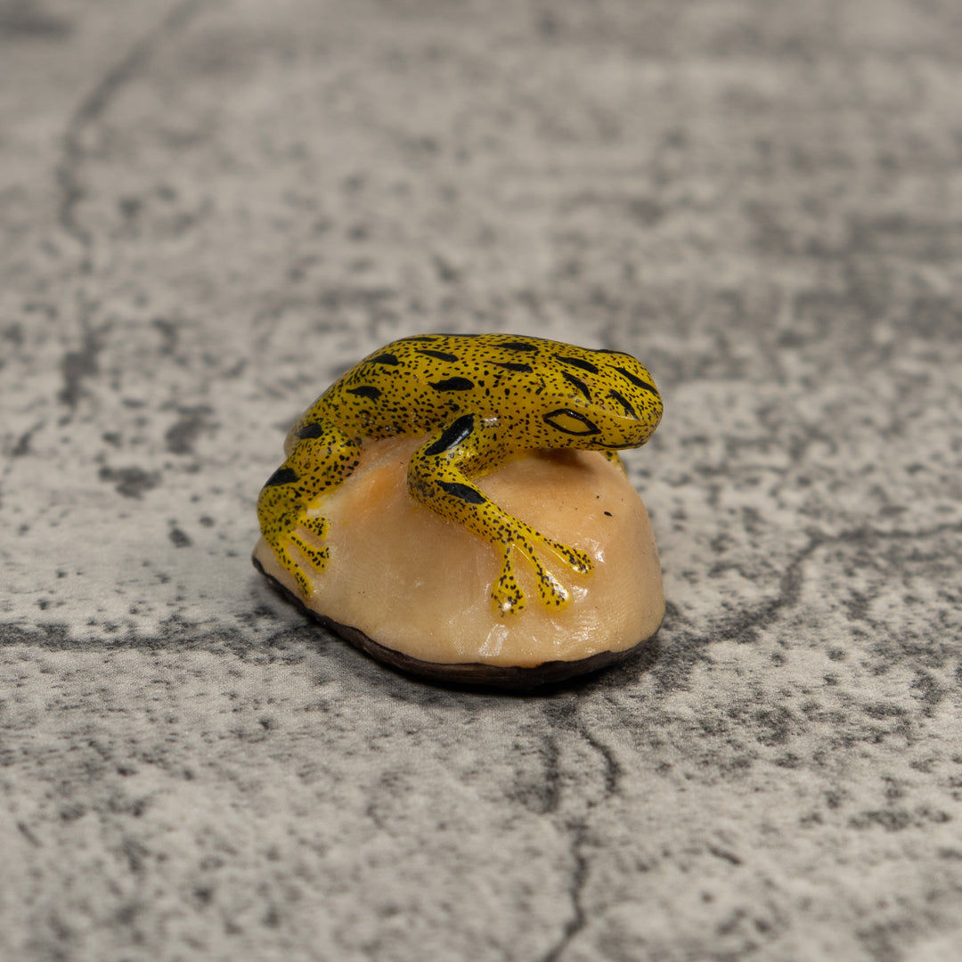Yellow And Black Poison Dart Frog Tagua Carving