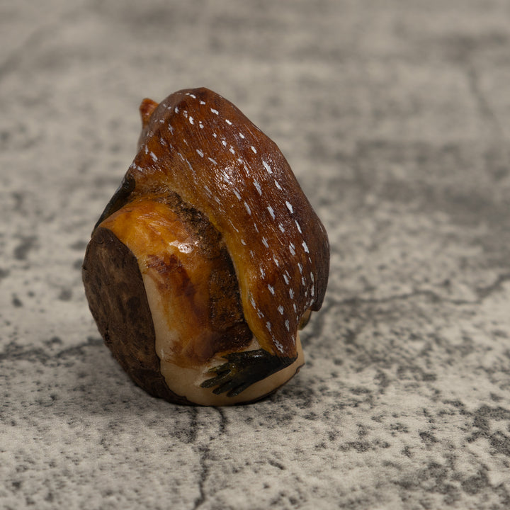 Neque Conojo Pintado Tagua Carving