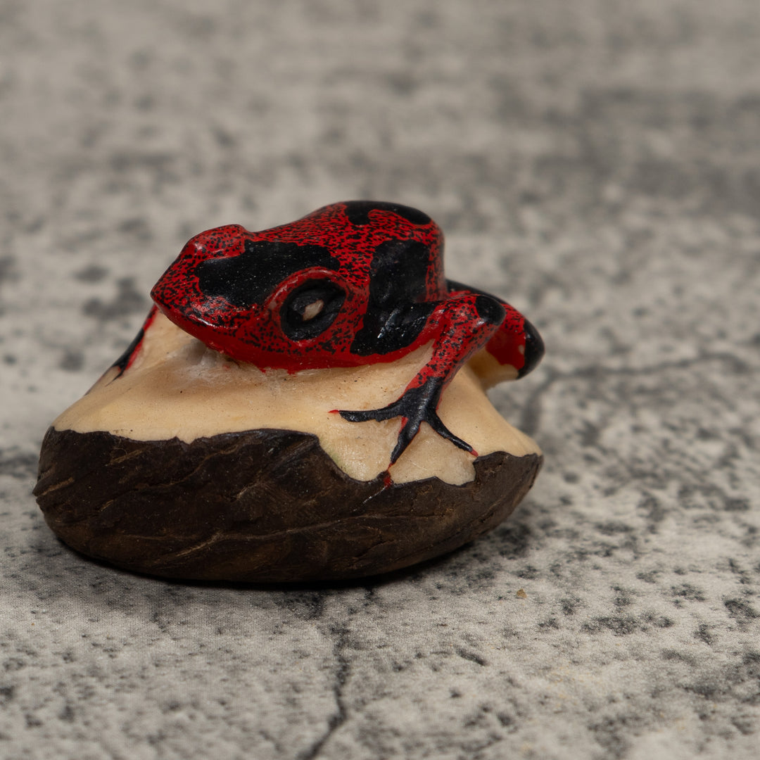 Vintage Red And Black Frog Tagua Carving