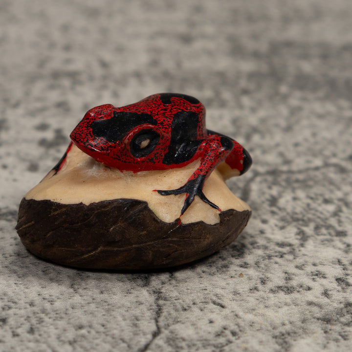 Vintage Red And Black Frog Tagua Carving