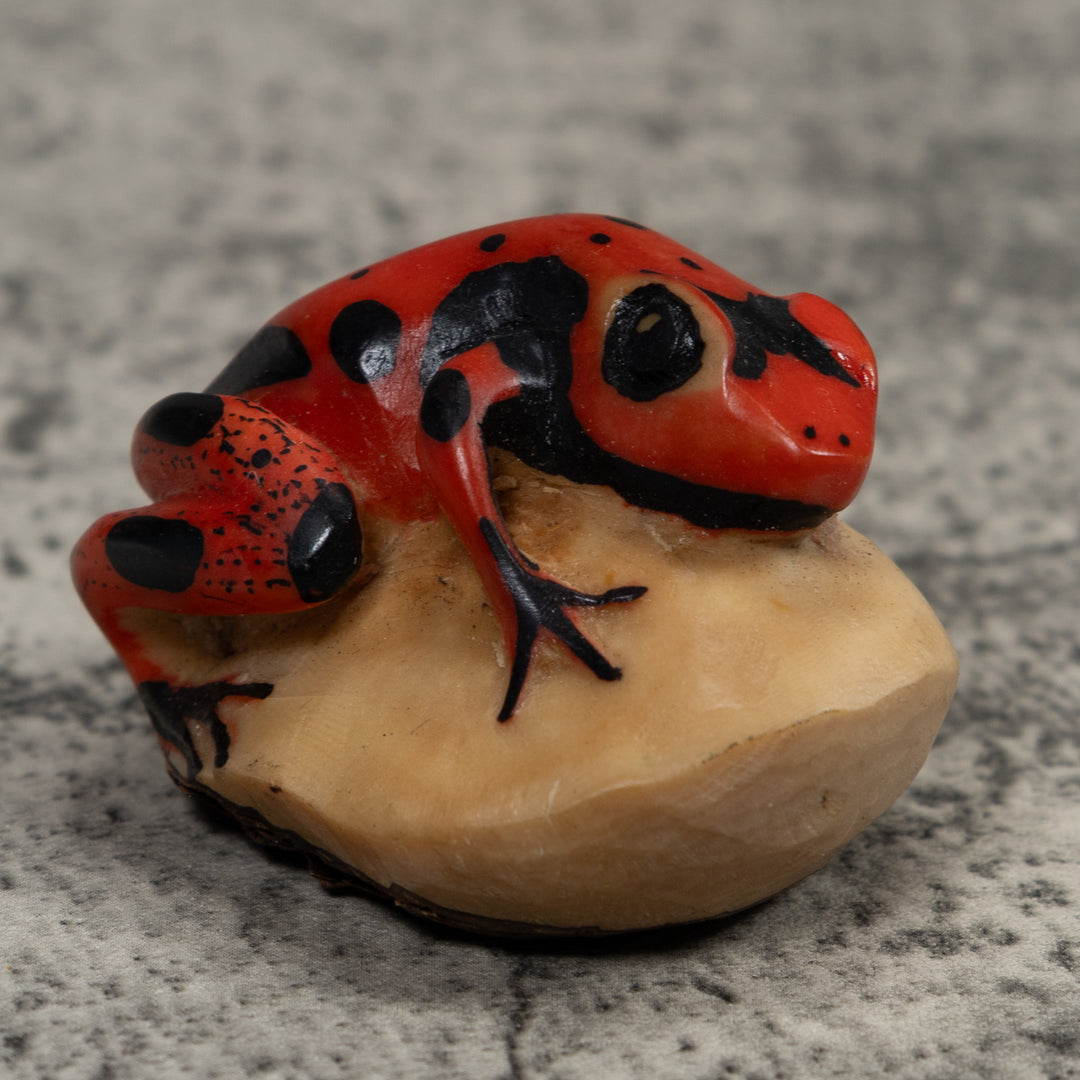 Vintage Red Poison Dart Frog Tagua Carving