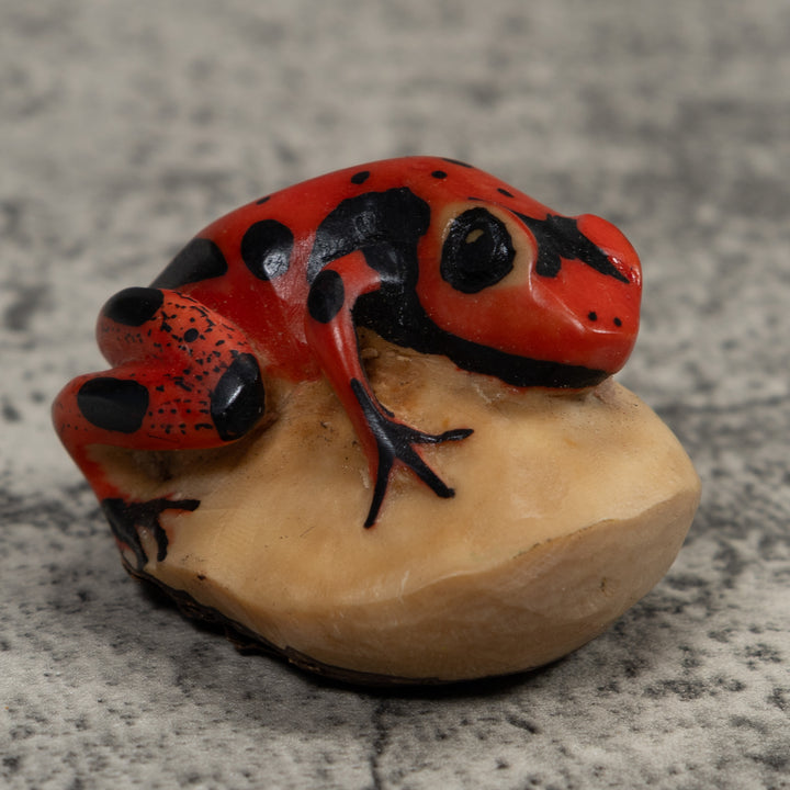 Vintage Red Poison Dart Frog Tagua Carving