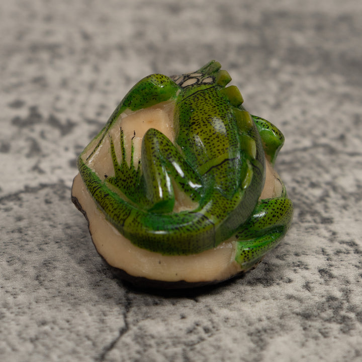 Iguana Lizard Reptile Tagua Carving