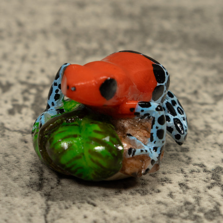 Red And Blue Poison Dart Frog Tagua Carving