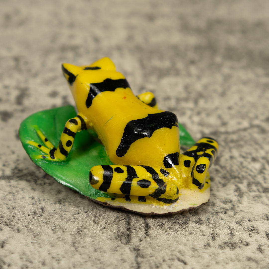 Golden Frog Tagua Carving