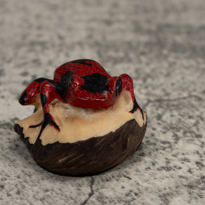 Vintage Red And Black Frog Tagua Carving