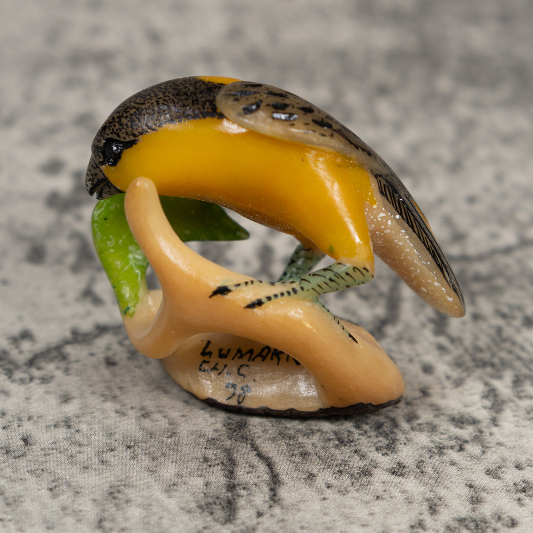 Undercut Oriole Bird Tagua Carving