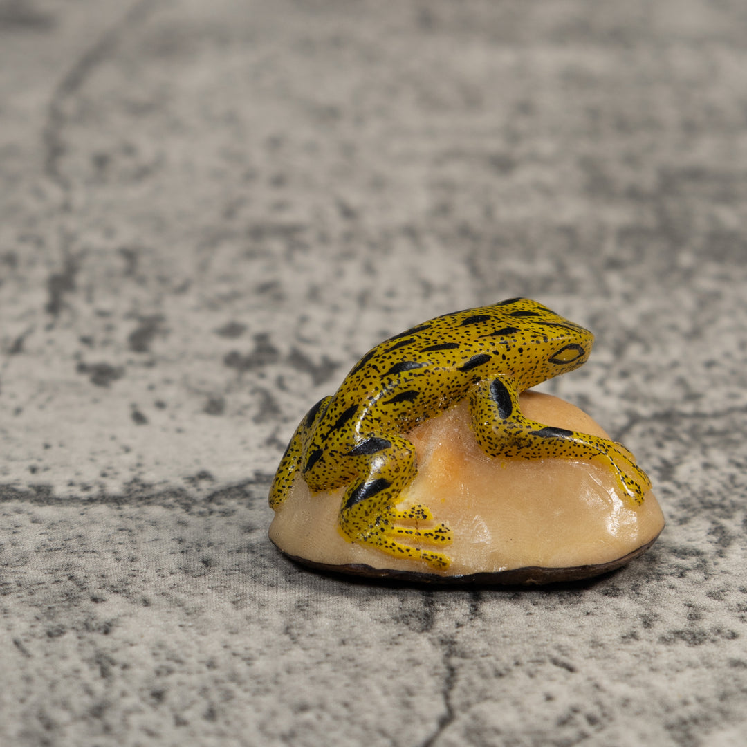 Yellow And Black Poison Dart Frog Tagua Carving