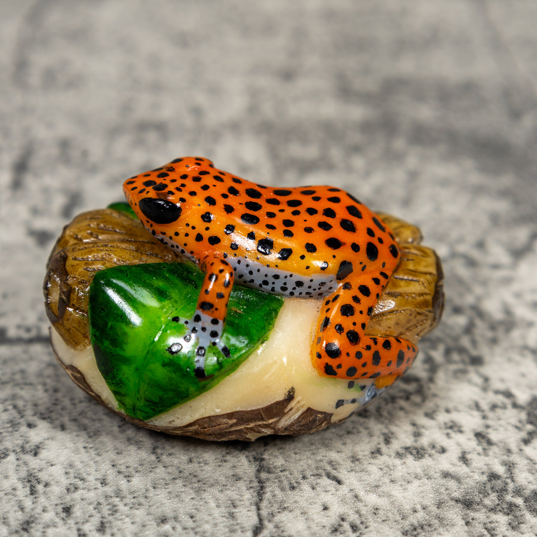 Black And Orange Poison Dart Frog Tagua Carving